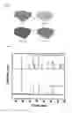 Fig. 02 - Spinel-Type Lithium Titanium Oxide/Graphene Composite and Method of Preparing the Same