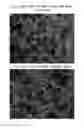 Fig. 01 - POSITIVE ACTIVE MATERIAL FOR LITHIUM SECONDARY BATTERY AND METHOD OF MANUFACTURING SAME