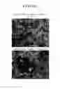 Fig. 15 - POSITIVE ACTIVE MATERIAL FOR LITHIUM SECONDARY BATTERY AND METHOD OF MANUFACTURING SAME