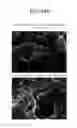 Fig. 16 - POSITIVE ACTIVE MATERIAL FOR LITHIUM SECONDARY BATTERY AND METHOD OF MANUFACTURING SAME