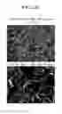 Fig. 17 - POSITIVE ACTIVE MATERIAL FOR LITHIUM SECONDARY BATTERY AND METHOD OF MANUFACTURING SAME