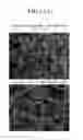 Fig. 18 - POSITIVE ACTIVE MATERIAL FOR LITHIUM SECONDARY BATTERY AND METHOD OF MANUFACTURING SAME