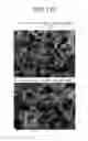 Fig. 20 - POSITIVE ACTIVE MATERIAL FOR LITHIUM SECONDARY BATTERY AND METHOD OF MANUFACTURING SAME