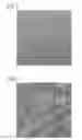 Fig. 04 - Phthalocyanine nanowires, ink composition and electronic element each containing same, and method for producing phthalocyanine nanowires
