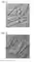 Fig. 06 - Phthalocyanine nanowires, ink composition and electronic element each containing same, and method for producing phthalocyanine nanowires