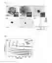 Fig. 02 - SURFACE-TREATED SUBSTRATE FOR AN INKJET PRINTER