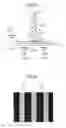 Fig. 05 - Organic EL element, method for manufacturing the same, and organic EL display device