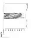 Fig. 11 - Group III nitride semiconductor element and epitaxial wafer