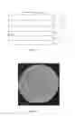 Fig. 12 - Optoelectronic device and method for manufacturing the same