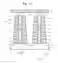 Fig. 22 - Nonvolatile memory device in three-dimensional structure with a stress reducing materials on the channel