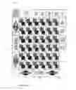 Fig. 08 - Dice Game and Apparatus