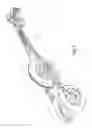 Fig. 06 - Roller skis or boards