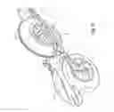 Fig. 07 - Roller skis or boards