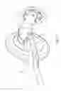 Fig. 12 - Roller skis or boards