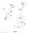 Fig. 03 - Sanitizing lid and dispatch service thereof