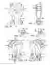 Fig. 05 - Shackle bow and shackle