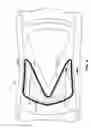 Fig. 06 - Vehicle window assembly