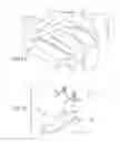 Fig. 09 - Chair with coupling companion stool base