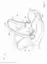 Fig. 02 - Infant safety seat