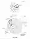 Fig. 64 - Conical magnets and rotor-stator structures for electrodynamic machines