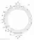 Fig. 01 - Rotor of rotary electric machine