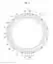 Fig. 02 - Rotor of rotary electric machine