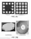 Fig. 08 - HIGH PERFORMANCE LED GROW LIGHT