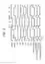 Fig. 03 - Pulse width modulation circuit and voltage-feedback class-D amplifier circuit