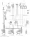 Fig. 04 - Immobilizer circuit