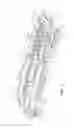 Fig. 04 - Patient support apparatus having alert light