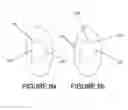 Fig. 09 - Physiological data acquisition and management system for use with an implanted wireless sensor