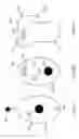 Fig. 03 - Signal apparatus for facilitating safe backup of vehicles