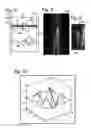 Fig. 05 - Surveillance with subject screening