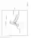 Fig. 06 - Method utilized in three-dimensional pointing system