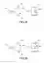 Fig. 05 - Touch pad operable with multi-objects and method of operating same