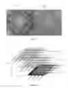 Fig. 07 - Electroded Sheet for a Multitude of Products