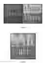 Fig. 08 - Electroded Sheet for a Multitude of Products