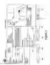 Fig. 06 - System and Method for Generating A Three-Dimensional Patient Display