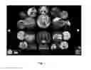 Fig. 03 - Interactive, multi-environment application for rich social profiles and generalized personal expression