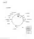 Fig. 14 - Systems and methods for data aggregation and prioritization
