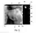 Fig. 13 - Visualization apparatus