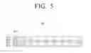 Fig. 06 - Display apparatus and method for improving image quality thereof