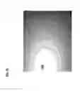 Fig. 12 - Functional imaging of cells with optical projection tomography