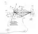 Fig. 01 - Structural illumination and evanescent coupling for the extension of imaging interfermetric microscopy