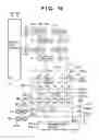 Fig. 14 - Arrangement of circuits in pixels, each circuit shared by a plurality of pixels, in image sensing apparatus