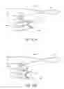 Fig. 33 - EYEWEAR WITH DETACHABLE ADJUSTABLE ELECTRONICS MODULE