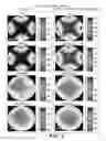 Fig. 04 - Polymer-doped vertically-aligned nematic liquid crystals