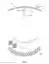 Fig. 08 - IMAGE VIEWING SYSTEMS WITH CURVED SCREENS