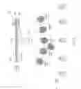 Fig. 07 - Image viewing systems with an integrated screen lens
