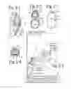 Fig. 03 - Laser projection light